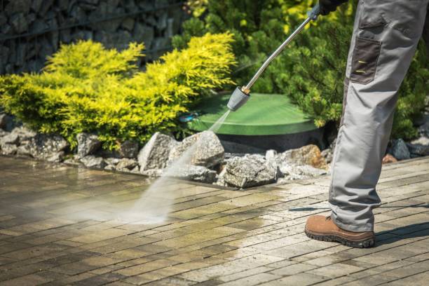 Best Pre-Holiday Cleaning  in Arnold, MD